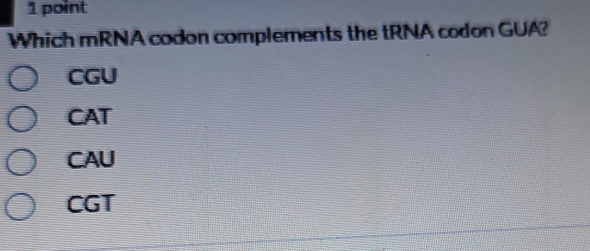 Which mRNA codon complements the tRNA codon GUA?
CGU
CAT
CAU
CGT