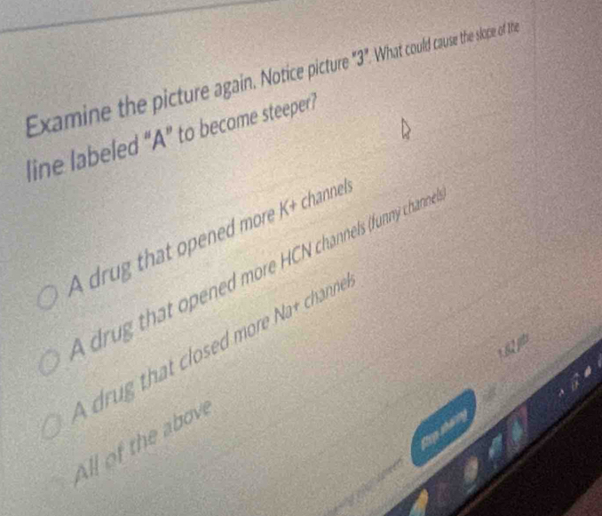 Examine the picture again. Notice picture "3?. What could cause the slope of the
line labeled “A” to become steeper?
A drug that opened more K+ channel
rug that opened more HCN channels (funny channe
drug that closed more Na+ channe
ll o the above