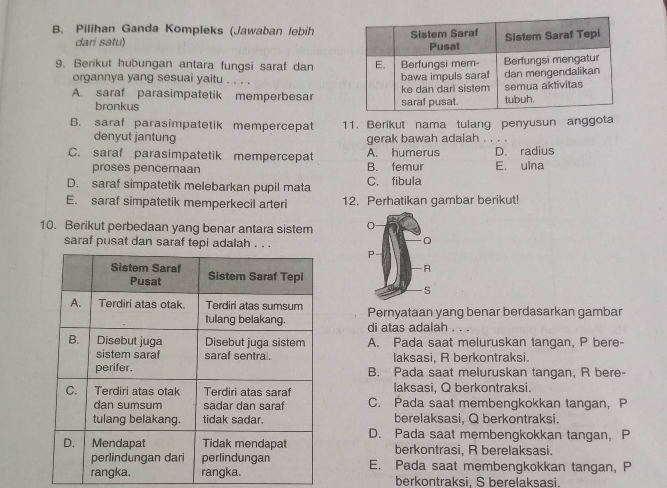 Pilihan Ganda Kompleks (Jawaban lebih
dari satu) 
9. Berikut hubungan antara fungsi saraf dan
organnya yang sesuai yaitu . . . .
A. saraf parasimpatetik memperbesar
bronkus
B. saraf parasimpatetik mempercepat 11. Berikut nama tulang penyusun anggota
denyut jantung gerak bawah adalah . . . .
C. saraf parasimpatetik mempercepat A. humerus D. radius
proses pencernaan B. femur E. ulna
D. saraf simpatetik melebarkan pupil mata
C. fibula
E. saraf simpatetik memperkecil arteri 12. Perhatikan gambar berikut!
10. Berikut perbedaan yang benar antara sistem
saraf pusat dan saraf tepi adalah . . .
Pernyataan yang benar berdasarkan gambar
di atas adalah . . .
A. Pada saat meluruskan tangan, P bere-
laksasi, R berkontraksi.
B. Pada saat meluruskan tangan, R bere-
laksasi, Q berkontraksi.
C. Pada saat membengkokkan tangan, P
berelaksasi, Q berkontraksi.
D. Pada saat membengkokkan tangan, P
berkontrasi, R berelaksasi.
E. Pada saat membengkokkan tangan, P
berkontraksi, S berelaksasi.