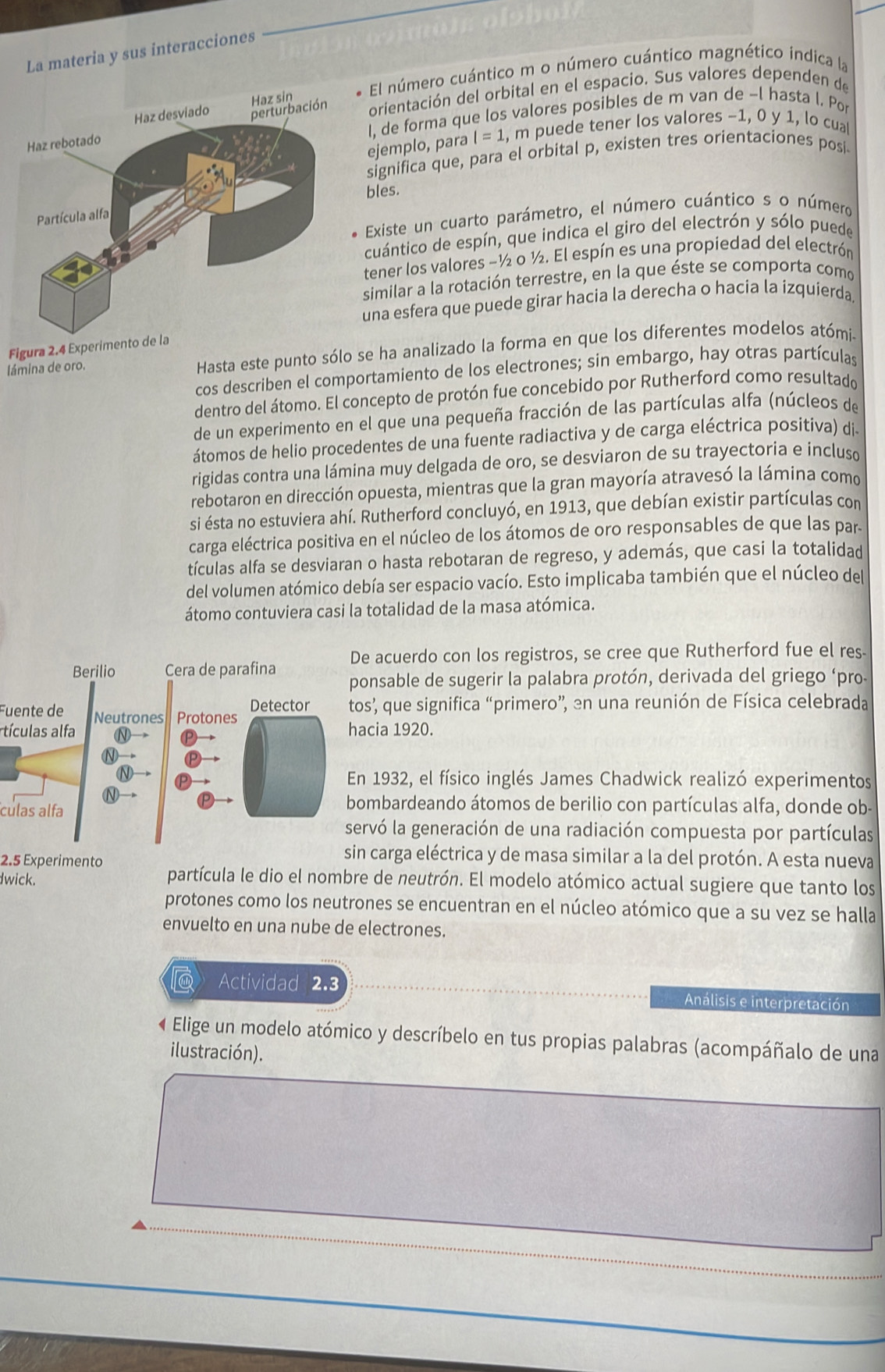 La materia y sus interacciones
* El número cuántico m o número cuántico magnético indica la
orientación del orbital en el espacio. Sus valores dependen de
I. de forma que los valores posibles de m van de −l hasta l. Po
ejemplo, para l=1 , m puede tener los valores −1, 0 y 1, lo cua
significa que, para el orbital p, existen tres orientaciones posi
bles.
Existe un cuarto parámetro, el número cuántico s o número
cuántico de espín, que indica el giro del electrón y sólo puede
tener los valores -½ o ½. El espín es una propiedad del electrón
similar a la rotación terrestre, en la que éste se comporta como
una esfera que puede girar hacia la derecha o hacía la izquíerda
Figura 2.4 Experimento
lámina de oro. Hasta este punto sólo se ha analizado la forma en que los diferentes modelos atómi-
cos describen el comportamiento de los electrones; sin embargo, hay otras partículas
dentro del átomo. El concepto de protón fue concebido por Rutherford como resultado
de un experimento en el que una pequeña fracción de las partículas alfa (núcleos de
átomos de helio procedentes de una fuente radiactiva y de carga eléctrica positiva) di-
rigidas contra una lámina muy delgada de oro, se desviaron de su trayectoria e incluso
rebotaron en dirección opuesta, mientras que la gran mayoría atravesó la lámina como
si ésta no estuviera ahí. Rutherford concluyó, en 1913, que debían existir partículas con
carga eléctrica positiva en el núcleo de los átomos de oro responsables de que las par.
tículas alfa se desviaran o hasta rebotaran de regreso, y además, que casi la totalidad
del volumen atómico debía ser espacio vacío. Esto implicaba también que el núcleo del
átomo contuviera casi la totalidad de la masa atómica.
acuerdo con los registros, se cree que Rutherford fue el res
nsable de sugerir la palabra protón, derivada del griego ‘pro-
Fuente de’, que significa “primero”, en una reunión de Física celebrada
tículas alfaia 1920.
1932, el físico inglés James Chadwick realizó experimentos
culas alfa
bardeando átomos de berilio con partículas alfa, donde ob-
vó la generación de una radiación compuesta por partículas
carga eléctrica y de masa similar a la del protón. A esta nueva
2.5 Experimento partícula le dio el nombre de neutrón. El modelo atómico actual sugiere que tanto los
dwick.
protones como los neutrones se encuentran en el núcleo atómico que a su vez se halla
envuelto en una nube de electrones.
Actividad 2.3 Análisis e interpretación
« Elige un modelo atómico y descríbelo en tus propias palabras (acompáñalo de una
ilustración).