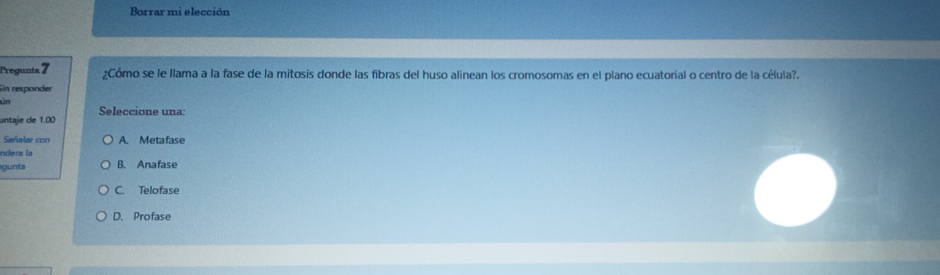 Borrar mi elección
Pregunta 7 ¿Cómo se le llama a la fase de la mitosis donde las fibras del huso alinean los cromosomas en el plano ecuatorial o centro de la célula?.
Sin responder
ún
Seleccione una:
untaje de 1.00
Señalar con A. Metafase
ndera la
gunta B. Anafase
C. Telofase
D. Profase