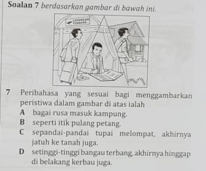 Soalan 7 berdasarkan gambar di bawah ini.
7 Peribahasa yang sesuai bagi menggambarkan
peristiwa dalam gambar di atas ialah
A bagai rusa masuk kampung.
B seperti itik pulang petang.
C sepandai-pandai tupai melompat, akhirnya
jatuh ke tanah juga.
D setinggi-tinggi bangau terbang, akhirnya hinggap
di belakang kerbau juga.