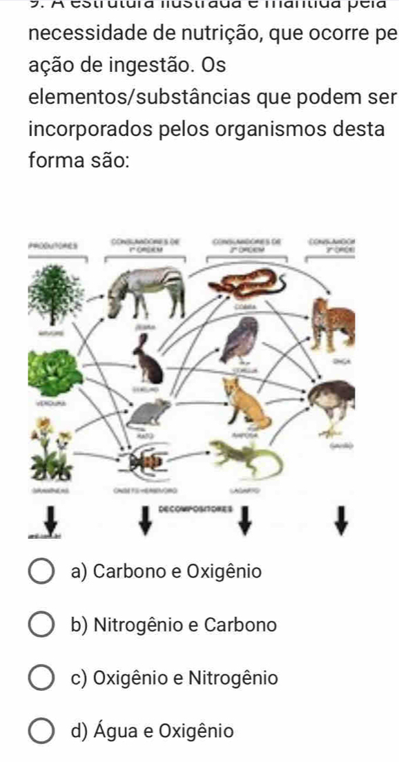 A estrutura nustráua e mantiua péía
necessidade de nutrição, que ocorre pe
ação de ingestão. Os
elementos/substâncias que podem ser
incorporados pelos organismos desta
forma são:
a) Carbono e Oxigênio
b) Nitrogênio e Carbono
c) Oxigênio e Nitrogênio
d) Água e Oxigênio