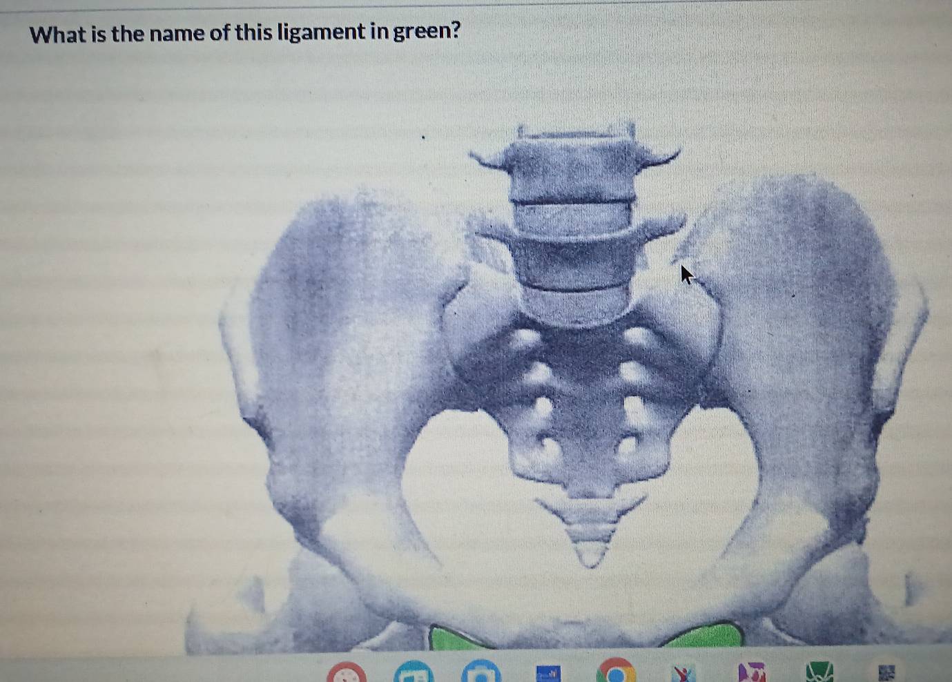 What is the name of this ligament in green?