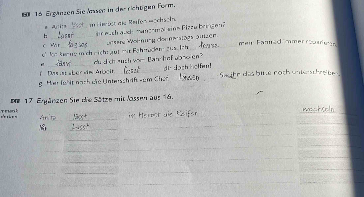 Ergänzen Sie lassen in der richtigen Form. 
a Anita_ im Herbst die Reifen wechseln. 
_b 
ihr euch auch manchmal eine Pizza bringen? 
c Wir_ 
unsere Wohnung donnerstags putzen. 
mein Fahrrad immer reparieren 
d Ich kenne mich nicht gut mit Fahrrädern aus. Ich_ 
e 
du dich auch vom Bahnhof abholen? 
f Das ist aber viel Arbeit. _dir doch helfen! 
Sie ihn das bitte noch unterschreiben. 
g Hier fehlt noch die Unterschrift vom Chef._ 
17 Ergänzen Sie die Sätze mit lassen aus 16. 
_ 
_ 
mmatik 
_ 
decken 
_ 
__ 
_ 
_ 
_ 
_ 
_ 
_ 
_ 
_ 
_ 
_ 
_ 
__ 
_ 
_ 
__ 
_ 
_ 
_ 
_ 
_ 
_ 
_