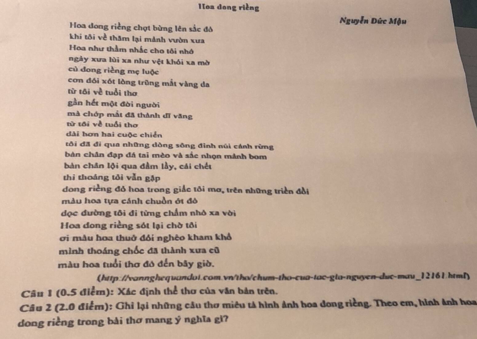 Hoa dong rièng 
Nguyễn Dức Mậu 
Hoa dong riềng chợt bừng lên sắc đó 
khí tôi về tham lại mảnh vườn xưa 
Hoa như thằm nhấc cho tôi nhớ 
ngày xưa lùi xa như vệt khói xa mờ 
cử dong rièng mẹ luộc 
cơn đói xót lòng trùng mất vàng da 
từ tôi về tuổi thơ 
gần hết một đời người 
mà chớp mắt đã thành đĩ văng 
từ tối về tuổi thơ 
dài hơn hai cuộc chiến 
tôi đã đi qua những dòng sông đinh núi cánh rừng 
bàn chân đạp đá tai mèo và sắc nhọn mảnh bom 
bàn chân lội qua đầm lầy, cái chết 
thi thoáng tôi vẫn gập 
dong riềng đỏ hoa trong giác tôi mơ, trên những triền đổi 
màu hoa tựa cánh chuồn ớt đỏ 
đọc dường tôi đi từng chẩm nhó xa vời 
Hoa dong riềng sót lại chờ tôi 
ơi mâu hoa thuở đổi nghêo kham khổ 
mình thoáng chốc đã thành xưa cũ 
màu hoa tuổi thơ đó đến bãy giờ. 
(http://vannghequandoi.com.vn/tho/chum-tho-cua-tac-gia-nguyen-duc-mau_12161.html) 
Câu 1 (0.5 điểm): Xác định thể thơ của văn bản trên. 
Câu 2 (2.0 điểm): Ghi lại những cầu thơ miêu tả hình ảnh hoa dong riềng. Theo em, hình ảnh hoa 
dong riềng trong bài thơ mang ý nghĩa gi?