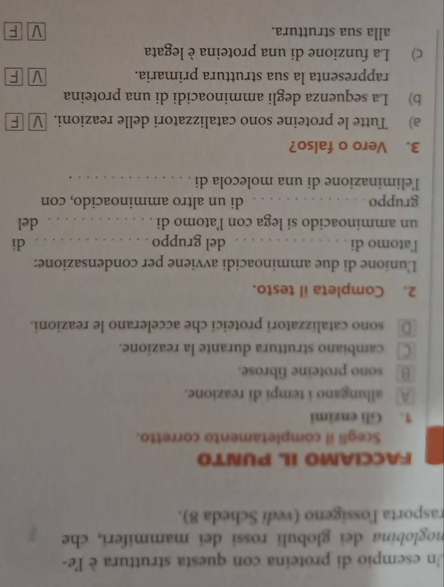 Un esempio di proteina con questa struttura è l'e-
moglobina dei globuli rossi dei mammiferi, che
rasporta lossigeno (vedi Scheda 8).
FACCIAMO IL PUNTO
Scegli il completamento corretto.
1. Gli enzimi
A allungano i tempi di reazione.
θ sono proteine fibrose.
C cambiano struttura durante la reazione.
D sono catalizzatori proteici che accelerano le reazioni.
2. Completa il testo.
Lunione di due amminoacidi avviene per condensazione:
l'atomo di_ del gruppo ._
di
un amminoacido si lega con latomo di_ del
gruppo_ di un altro amminoacido, con
leliminazione di una molecola di ._
3. Vero o falso?
a) Tutte le proteine sono catalizzatori delle reazioni. v F
b) La sequenza degli amminoacidi di una proteina
rappresenta la sua struttura primaria. V F
c) La funzione di una proteina è legata
alla sua struttura. V F