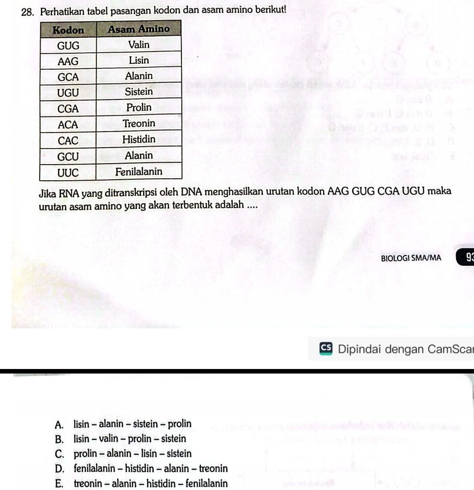 Telah dijawab:Perhatikan tabel pasangan kodon dan asam amino berikut! C ...