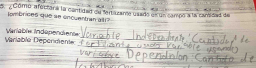 Cómo afectará la cantidad de fertilizante usado en un campo a la cantidad de 
lombrices que se encuentran alli? 
_ 
Variable Independiente: 
_ 
Variable Dependiente: 
_