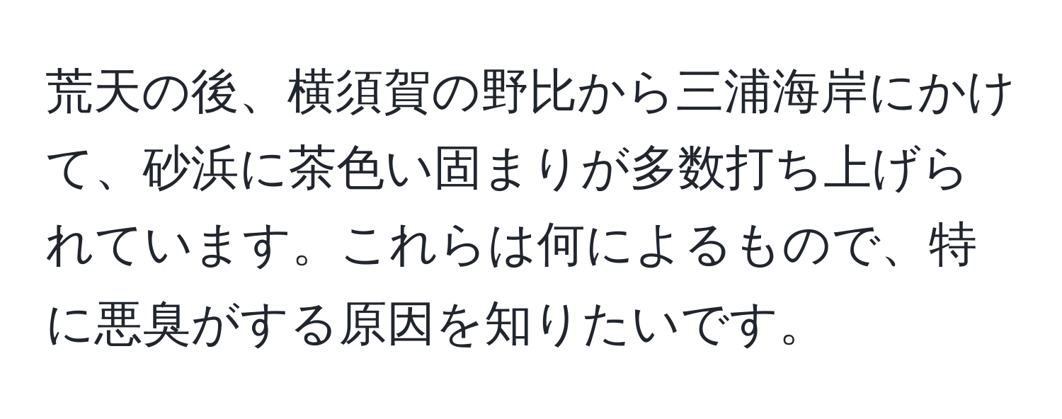 荒天の後、横須賀の野比から三浦海岸にかけて、砂浜に茶色い固まりが多数打ち上げられています。これらは何によるもので、特に悪臭がする原因を知りたいです。