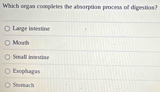 Which organ completes the absorption process of digestion?
Large intestine
Mouth
Small intestine
Esophagus
Stomach