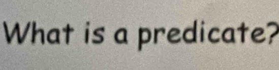 What is a predicate?