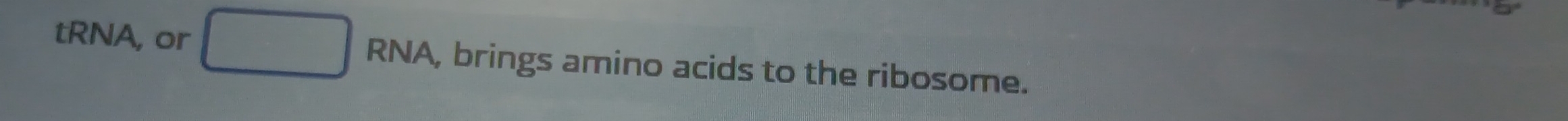 tRNA, or RNA , brings amino acids to the ribosome.