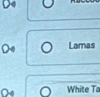 Lamas 
White Ta