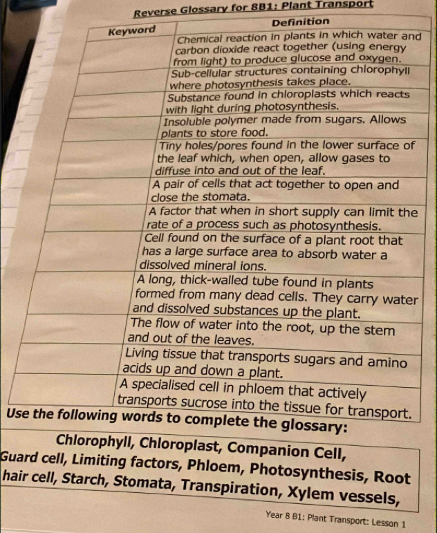 Reverse Glossary for 8B1: Plant Transport 
Definition 
d 
f 
e 
r 
Us 
Guard cell, Limiting factors, Phloem, Photosynthesis, Root 
hair cell, Starch, Stomata, Transpiration, Xylem vessels, 
Year 8 B1: Plant Transport: Lesson 1