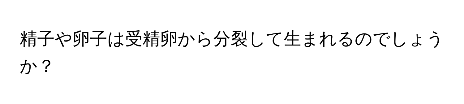 精子や卵子は受精卵から分裂して生まれるのでしょうか？