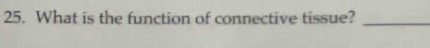 What is the function of connective tissue?_