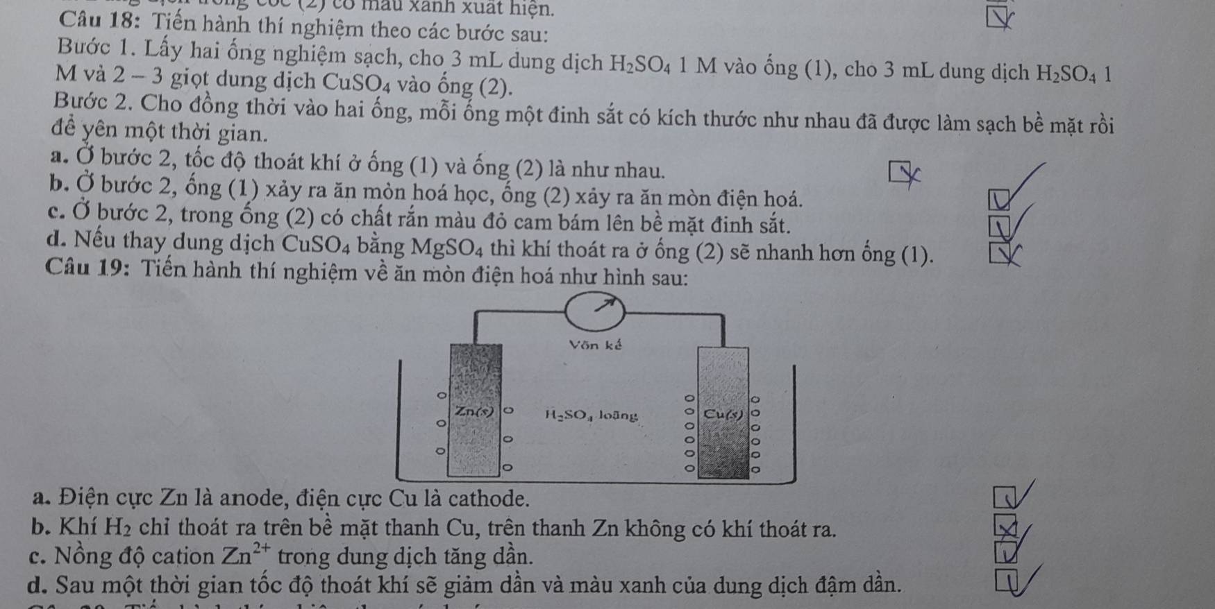 cóc (2) có mẫu xãnh xuất hiện.
Câu 18: Tiến hành thí nghiệm theo các bước sau:
Bước 1. Lấy hai ống nghiệm sạch, cho 3 mL dung dịch H_2SO_4 1 M vào ở dot ong(1) ), cho 3 mL dung dịch H_2SO_41
M và 2 - 3 giọt dung dịch CuSO_4 vào ong(2).
Bước 2. Cho đồng thời vào hai ống, mỗi ống một đinh sắt có kích thước như nhau đã được làm sạch bề mặt rồi
để yên một thời gian.
a. Ở bước 2, tốc độ thoát khí ở ống (1) và ống (2) là như nhau.
b. Ở bước 2, ống (1) xảy ra ăn mòn hoá học, ống (2) xảy ra ăn mòn điện hoá.
c. Ở bước 2, trong ống (2) có chất rắn màu đỏ cam bám lên bề mặt đinh sắt.
d. Nếu thay dung dịch CuSO_4 bằng MgSO_4 thì khí thoát ra ở ổng (2) sẽ nhanh hơn ổng (1).
Câu 19: Tiến hành thí nghiệm về ăn mòn điện hoá như hình sau:
a. Điện cực Zn là anode, điện cực Cu là cathode.
b. Khí H_2 chỉ thoát ra trên bề mặt thanh Cu, trên thanh Zn không có khí thoát ra.
c. Nồng độ cation Zn^(2+) trong dung dịch tăng dần.
d. Sau một thời gian tốc độ thoát khí sẽ giảm dần và màu xanh của dung dịch đậm dần.