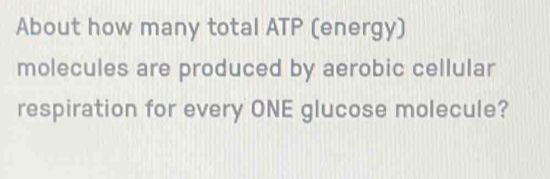 About how many total ATP (energy) 
molecules are produced by aerobic cellular 
respiration for every ONE glucose molecule?