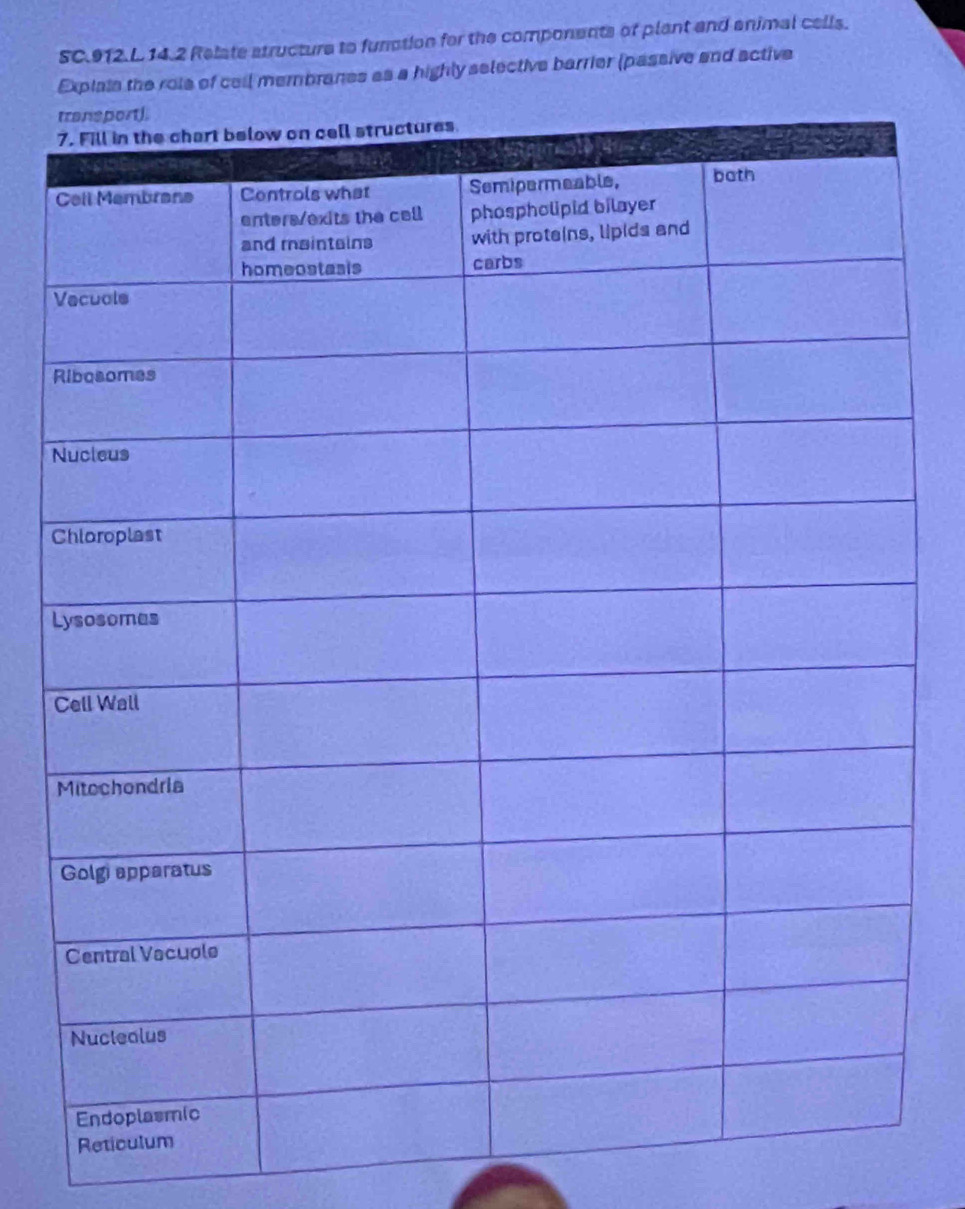 SC.912.L.14.2 Relate structure to funation for the components of plant and animal cells.
Explats the role of cell membranes as a highly selective barrier (passive and active
t
V
R
N
C
L