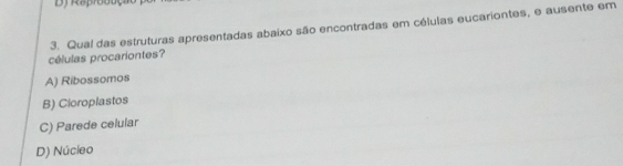 células procariontes? 3. Qual das estruturas apresentadas abaixo são encontradas em células eucariontes, e ausente em
A) Ribossomos
B) Cioroplastos
C) Parede celular
D) Núcleo