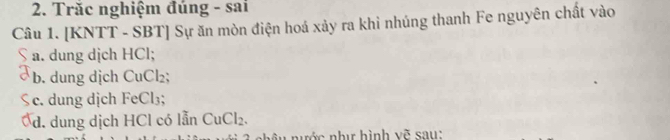 Trăc nghiệm đúng - sai
Câu 1. [KNTT - SBT] Sự ăn mòn điện hoá xảy ra khì nhúng thanh Fe nguyên chất vào
a. dung dịch HCl;
b. dung dịch CuCl₂;
c. dung dịch FeCl₃;
d. dung dịch HCl có lẫn CuCl_2. 
nước như hình vẽ sau: