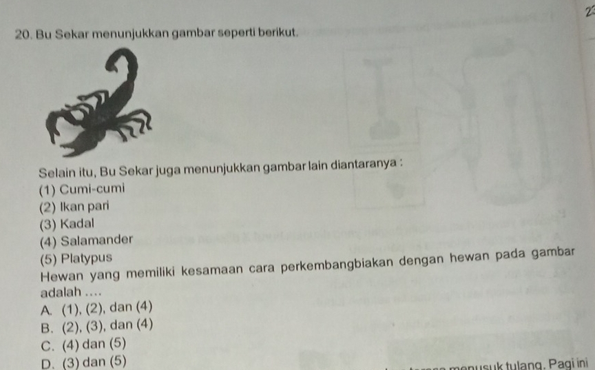 2
20. Bu Sekar menunjukkan gambar seperti berikut.
a
Selain itu, Bu Sekar juga menunjukkan gambar lain diantaranya :
(1) Cumi-cumi
(2) Ikan pari
(3) Kadal
(4) Salamander
(5) Platypus
Hewan yang memiliki kesamaan cara perkembangbiakan dengan hewan pada gambar
adalah ....
A. (1), (2) ), dan (4)
B. (2), (3) ), dan (4)
C. (4) dan (5)
D.(3) dan (5)
menusuk tulang. Pagi ini