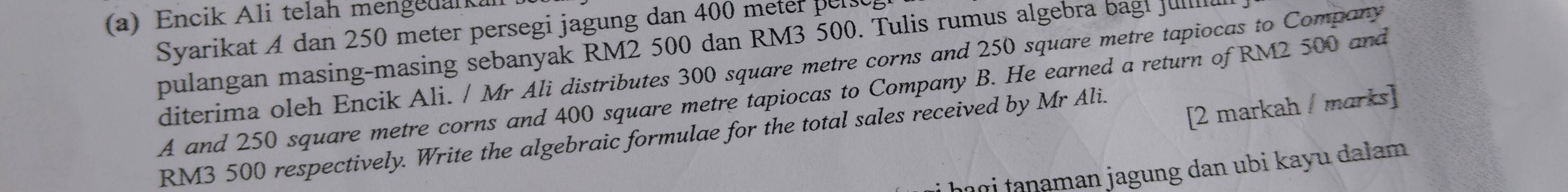 Encik Ali telah mengedalka 
Syarikat A dan 250 meter persegi jagung dan 400 meter persc 
pulangan masing-masing sebanyak RM2 500 dan RM3 500. Tulis rumus algebra bagl fula 
diterima oleh Encik Ali. / Mr Ali distributes 300 square metre corns and 250 square metre tapiocas to Compary 
A and 250 square metre corns and 400 square metre tapiocas to Company B. He earned a return of RM2 500 and 
[2 markah / marks]
RM3 500 respectively. Write the algebraic formulae for the total sales received by Mr Ali. 
haɑi fanaman jagung dan ubi kayu dałam