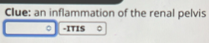 Clue: an inflammation of the renal pelvis 
-ITIS