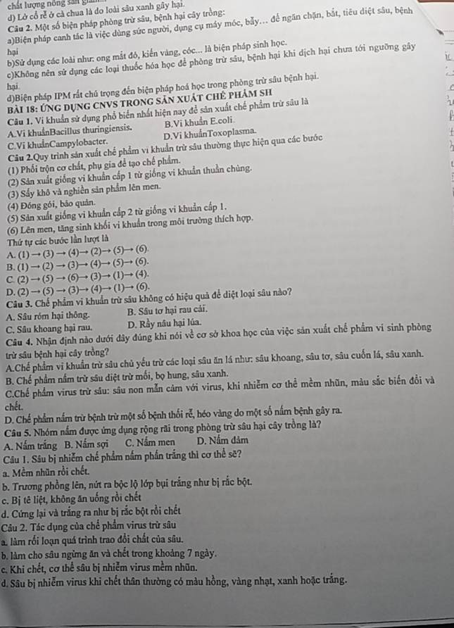 chất lượng nông sản gian
d) Lờ cổ rễ ở cà chua là do loài sâu xanh gây hại.
Câu 2. Một số biện pháp phòng trừ sâu, bệnh hại cây trồng:
a)Biện pháp canh tác là việc dùng sức người, dụng cụ máy móc, bảy... để ngăn chặn, bắt, tiêu diệt sâu, bệnh
hại
b)Sử dụng các loài như: ong mắt đó, kiến vàng, cóc... là biện pháp sinh học.
c)Không nên sử dụng các loại thuốc hóa học để phòng trừ sâu, bệnh hại khi dịch hại chưa tới ngưỡng gây
hại
d)Biện pháp IPM rắt chủ trọng đến biện pháp hoá học trong phòng trừ sâu bệnh hại.
Bài 18: Ứng dụng cNVS trong sản xuát chẻ phảm sh
Câu 1. Vi khuẩn sử dụng phổ biển nhất hiện nay để sản xuất chế phẩm trừ sâu là
A.Vi khuẩnBacillus thuringiensis. B.Vi khuẩn E.coli.
C.Vi khuẩnCampylobacter. D.Vi khuẩnToxoplasma
Câu 2.Quy trình sản xuất chể phẩm vi khuẩn trừ sâu thường thực hiện qua các bước
(1) Phối trộn cơ chất, phụ gia để tạo chế phẩm.
(2) Sản xuất giống vi khuẩn cấp 1 từ giống vi khuẩn thuần chúng.
(3) Sấy khô và nghiền sản phẩm lên men.
(4) Đồng gói, bảo quản.
(5) Sản xuất giống vi khuẩn cấp 2 từ giống vi khuẩn cấp 1.
(6) Lên men, tăng sinh khối vi khuẩn trong môi trưởng thích hợp.
Thứ tự các bước lần lượt là
A.(1)to (3)to (4)to (2)to (5)to (6)
B.(1)to (2)to (3)to (4)to (5)to (6).
C.(2)to (5)to (6)to (3)to (1)to (4).
D.(2)to (5)to (3)to (4)to (1)to (6).
Câu 3. Chế phẩm vi khuẩn trừ sâu không có hiệu quả để diệt loại sâu nào?
A. Sâu róm hại thông. B. Sâu tơ hại rau cải.
C. Sâu khoang hại rau. D. Rầy nâu hại lúa.
Câu 4. Nhận định nào dưới đây đúng khi nói về cơ sở khoa học của việc sản xuất chế phẩm vi sinh phòng
trừ sâu bệnh hại cây trồng?
A.Chế phẩm vi khuẩn trừ sâu chủ yếu trừ các loại sâu ăn lá như: sâu khoang, sâu tơ, sâu cuốn lá, sâu xanh.
B. Chế phẩm nằm trừ sâu diệt trừ mối, bọ hung, sâu xanh.
C.Chế phẩm virus trừ sâu: sâu non mẫn cảm với virus, khi nhiễm cơ thể mềm nhũn, màu sắc biến đồi và
chết.
D. Chế phẩm nắm trừ bệnh trừ một số bệnh thối rễ, hóo vàng do một số nắm bệnh gây ra.
Câu 5. Nhóm nấm được ứng dụng rộng rãi trong phòng trừ sâu hại cây trồng là?
A. Nấm trắng B. Nấm sợi C. Nấm men D. Nấm dảm
Câu 1. Sâu bị nhiễm chế phẩm nắm phần trắng thì cơ thể sẽ?
a. Mềm nhũn rồi chết.
b. Trương phồng lên, nứt ra bộc lộ lớp bụi trắng như bị rắc bột.
c. Bị tê liệt, không ăn uống rồi chết
d. Cứng lại và trắng ra như bị rắc bột rồi chết
Câu 2. Tác dụng của chể phẩm virus trừ sâu
a. làm rối loạn quá trình trao đổi chất của sâu.
b. làm cho sâu ngừng ăn và chết trong khoảng 7 ngày.
c. Khi chết, cơ thể sâu bị nhiễm virus mềm nhũn.
d. Sâu bị nhiễm virus khi chết thân thường có màu hồng, vàng nhạt, xanh hoặc trắng.