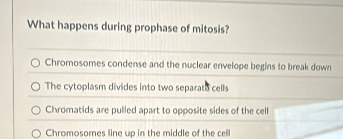 What happens during prophase of mitosis?
Chromosomes condense and the nuclear envelope begins to break down
The cytoplasm divides into two separato cells
Chromatids are pulled apart to opposite sides of the cell
Chromosomes line up in the middle of the cell