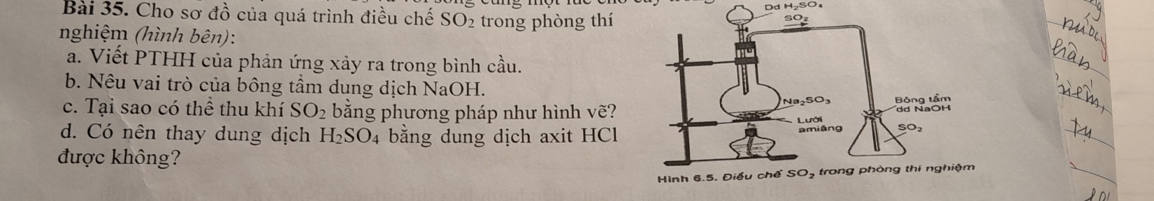 Dd H₂SO₄
Bài 35. Cho sơ đồ của quá trình điều chế SO_2 trong phòng thí
nghiệm (hình bên):
a. Viết PTHH của phản ứng xảy ra trong bình cầu.
b. Nêu vai trò của bông tầm dung dịch NaOH.
c. Tại sao có thể thu khí SO_2 bằng phương pháp như hình vẽ?
d. Có nên thay dung dịch H_2SO_4 A bằng dung dịch axit HCl
được không?