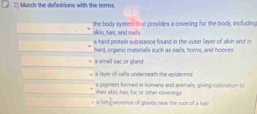 Match the definitions with the terms.
the body system that provides a covering for the body, including
_skin, hair, and nails
a hard protein substance found in the outer layer of skin and in
_hard, organic materials such as nails, horns, and hooves
_
a small sac or gland
_
a layer of cells underneath the epidermis
a pigment formed in humans and animals, giving coloration to
_their skin, hair, fur, or other coverings
_
a fatty secretion of glands near the root of a hair