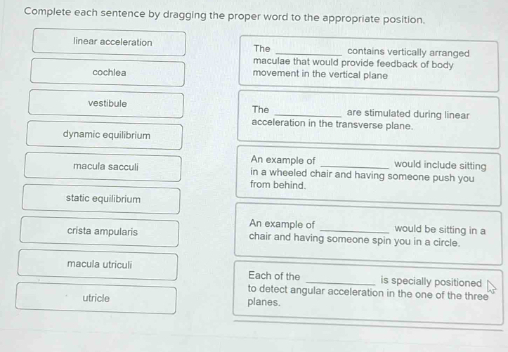 Solved: Complete each sentence by dragging the proper word to the ...