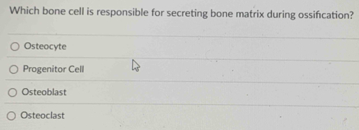 Which bone cell is responsible for secreting bone matrix during ossifcation?
Osteocyte
Progenitor Cell
Osteoblast
Osteoclast