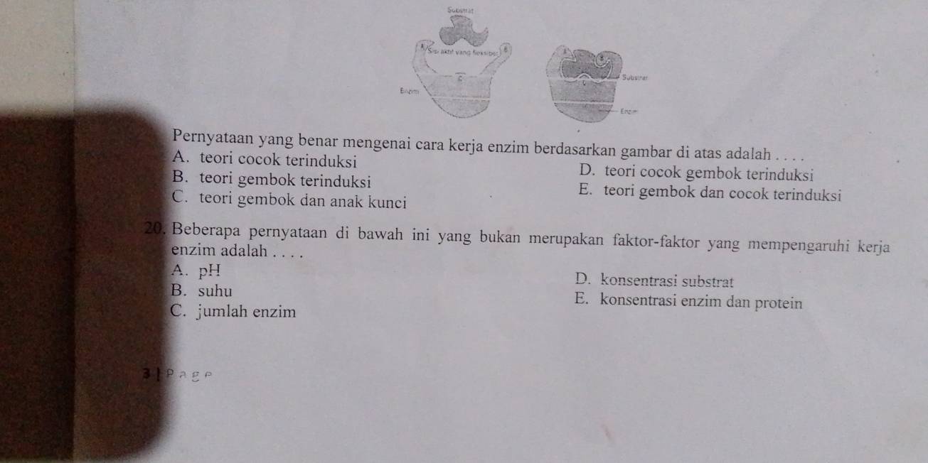 Substr1
Substrar
Bazim
Engin
Pernyataan yang benar mengenai cara kerja enzim berdasarkan gambar di atas adalah . . . .
A. teori cocok terinduksi D. teori cocok gembok terinduksi
B. teori gembok terinduksi E. teori gembok dan cocok terinduksi
C. teori gembok dan anak kunci
20. Beberapa pernyataan di bawah ini yang bukan merupakan faktor-faktor yang mempengaruhi kerja
enzim adalah . . . .
A. pH D. konsentrasi substrat
B. suhu E. konsentrasi enzim dan protein
C. jumlah enzim
3lPage