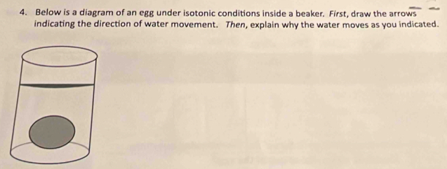 Below is a diagram of an egg under isotonic conditions inside a beaker. First, draw the arrows 
indicating the direction of water movement. Then, explain why the water moves as you indicated.