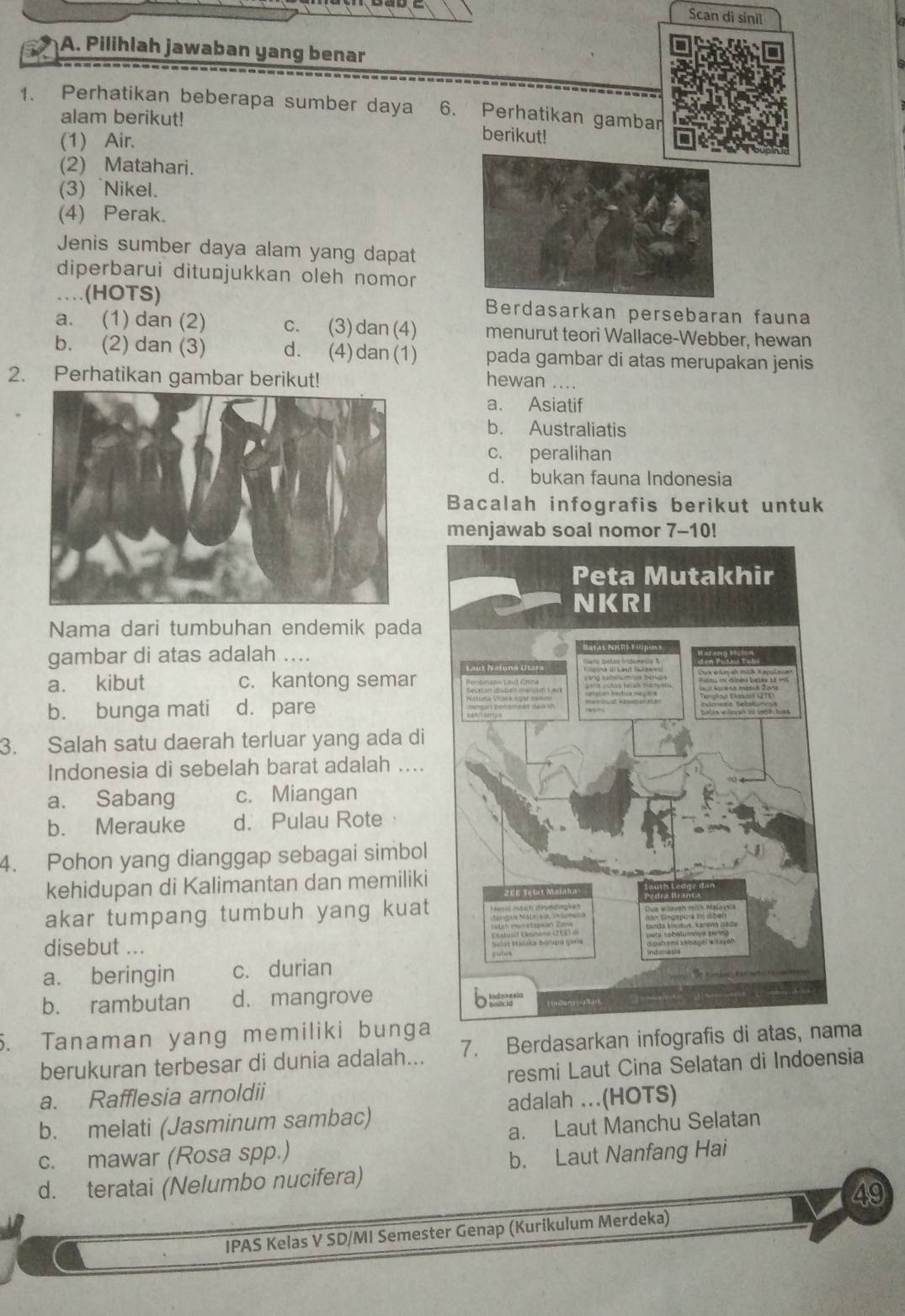 Scan di sinil
A. Pilihlah jawaban yang benar
1. Perhatikan beberapa sumber daya 6. Perhatikan gambar
alam berikut! berikut!
(1) Air.
(2) Matahari.
(3) Nikel.
(4) Perak.
Jenis sumber daya alam yang dapat
diperbarui ditunjukkan oleh nomor
…(HOTS) Berdasarkan persebaran fauna
a. (1) dan (2) c. (3)dan(4) menurut teori Wallace-Webber, hewan
b. (2) dan (3) d. (4)dan(1) pada gambar di atas merupakan jenis
2. Perhatikan gambar berikut! hewan …..
a. Asiatif
b. Australiatis
c. peralihan
d. bukan fauna Indonesia
Bacalah infografis berikut untuk
menjawabor 7-10!
Nama dari tumbuhan endemik pada
gambar di atas adalah ....
a. kibut c. kantong semar
b. bunga mati d. pare
3. Salah satu daerah terluar yang ada di
Indonesia di sebelah barat adalah ....
a. Sabang c. Miangan
b. Merauke d. Pulau Rote
4. Pohon yang dianggap sebagai simbol
kehidupan di Kalimantan dan memiliki
akar tumpang tumbuh yang kuat
disebut ...
a. beringin c. durian
b. rambutan d. mangrove 
5. Tanaman yang memiliki bunga
berukuran terbesar di dunia adalah... 7. Berdasarkan infografis di atas, nama
a. Rafflesia arnoldii resmi Laut Cina Selatan di Indoensia
b. melati (Jasminum sambac) adalah ..(HOTS)
c. mawar (Rosa spp.) a. Laut Manchu Selatan
b. Laut Nanfang Hai
d. teratai (Nelumbo nucifera)
49
IPAS Kelas V SD/MI Semester Genap (Kurikulum Merdeka)