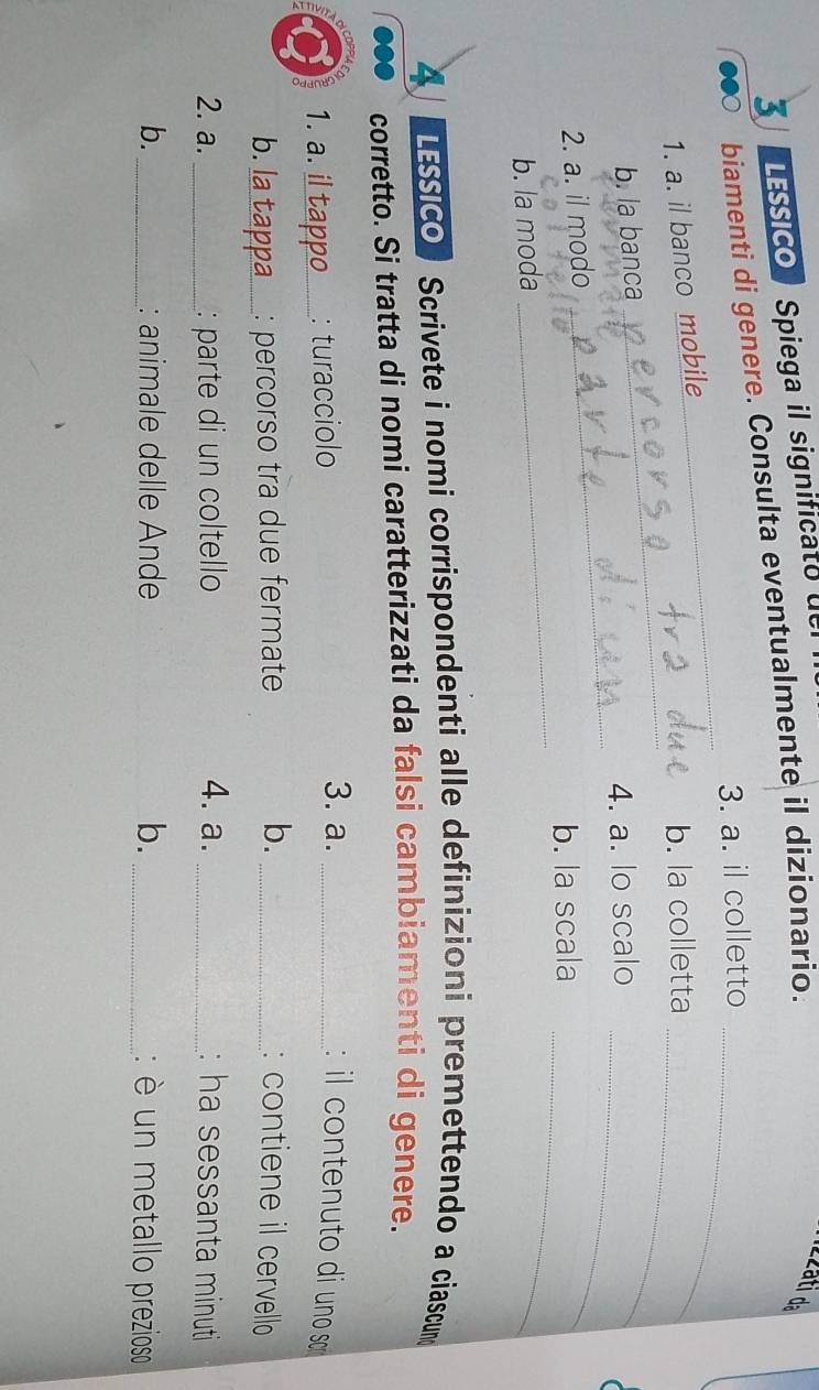 LESSICO Spiega il significato de 
biamenti di genere. Consulta eventualmente il dizionario. 
zzáti da 
3. a. il colletto_ 
_ 
1. a. il banco mobile 
_ 
b. la colletta_ 
b. la banca 
4. a. lo scalo_ 

_ 
2. a. il modo 
_ 
b. la scala 
b. la moda 
_ 
A LESSICO Scrivete i nomi corrispondenti alle definizioni premettendo a ciascum 
corretto. Si tratta di nomi caratterizzati da falsi cambiamenti di genere. 
1. a._ : turacciolo 3. a. _: il contenuto di uno sc 
b._ : percorso tra due fermate b. _: contiene il cervello 
2. a. _: parte di un coltello 4. a. _: ha sessanta minuti 
b._ : animale delle Ande b. _: è un metallo prezioso