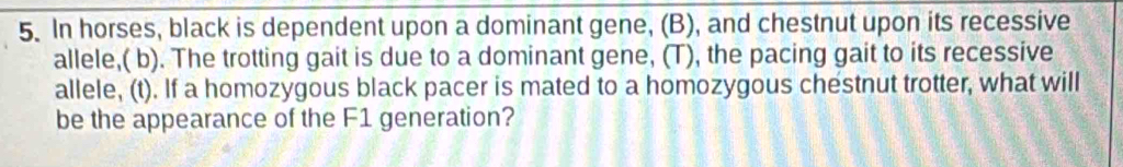 In horses, black is dependent upon a dominant gene, (B), and chestnut upon its recessive 
allele,( b). The trotting gait is due to a dominant gene, (T), the pacing gait to its recessive 
allele, (t). If a homozygous black pacer is mated to a homozygous chestnut trotter, what will 
be the appearance of the F1 generation?