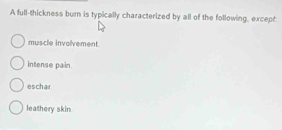 A full-thickness burn is typically characterized by all of the following, except
muscle involvement.
intense pain.
eschar
leathery skin.