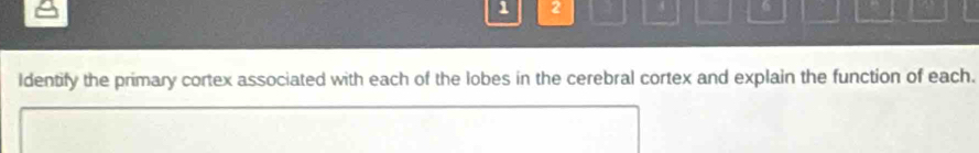 1 2 
6 
Identify the primary cortex associated with each of the lobes in the cerebral cortex and explain the function of each.