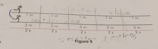 Figura 5