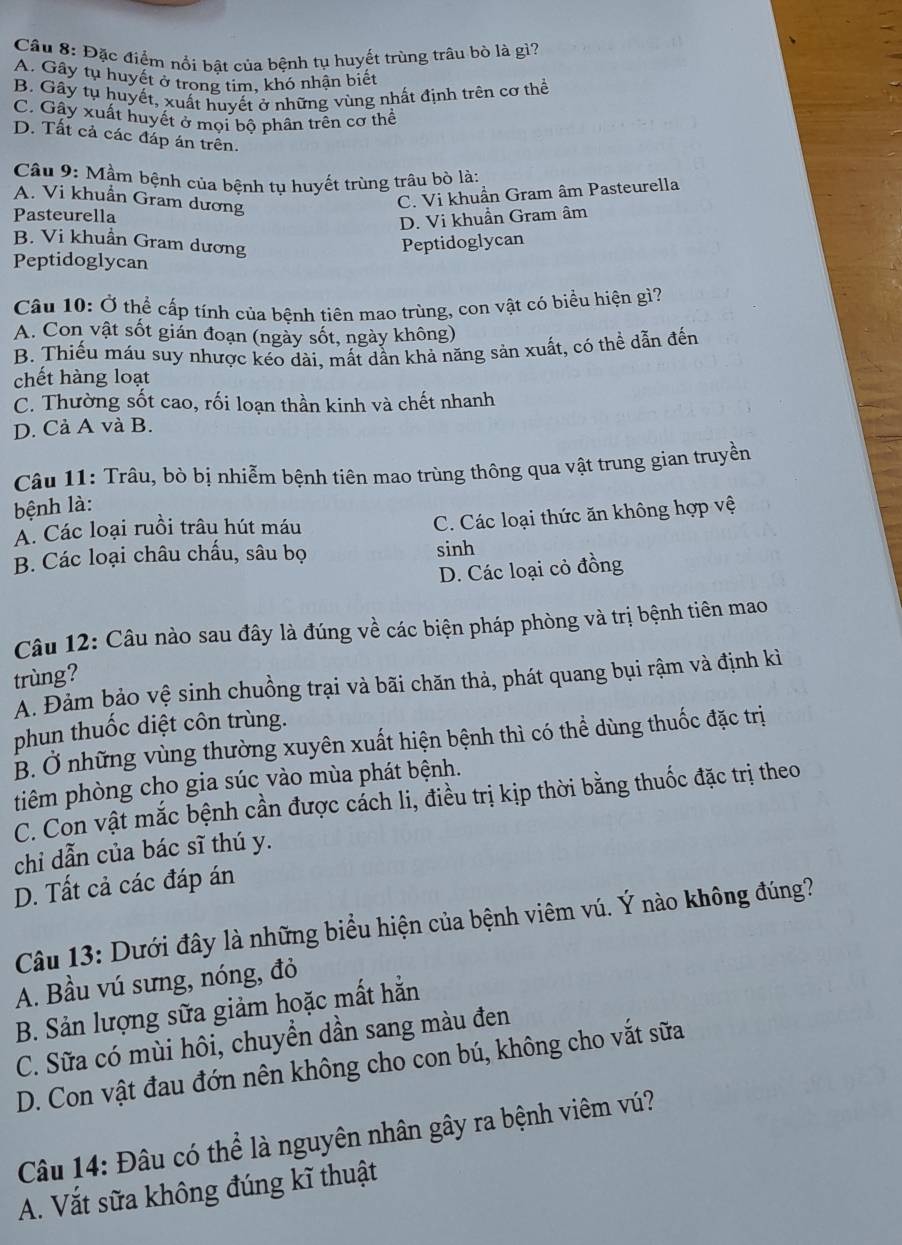 Đặc điểm nổi bật của bệnh tụ huyết trùng trâu bò là gì?
A. Gây tụ huyết ở trong tim. khó nhận biết
B. Gây tụ huyết, xuất huyết ở những vùng nhất định trên cơ thể
C. Gây xuất huyết ở mọi bộ phân trên cơ thể
D. Tất cả các đáp án trên.
Câu 9: Mầm bệnh của bệnh tụ huyết trùng trâu bò là:
A. Vi khuẩn Gram dương
C. Vi khuẩn Gram âm Pasteurella
Pasteurella
D. Vi khuẩn Gram âm
B. Vi khuẩn Gram dương Peptidoglycan
Peptidoglycan
Câu 10: Ở thể cấp tính của bệnh tiên mao trùng, con vật có biểu hiện gì?
A. Con vật sốt giản đoạn (ngày sốt, ngày không)
B. Thiếu máu suy nhược kéo dài, mất dẫn khả năng sản xuất, có thể dẫn đến
chết hàng loạt
C. Thường sốt cao, rối loạn thần kinh và chết nhanh
D. Cả A và B.
Câu 11: Trâu, bò bị nhiễm bệnh tiên mao trùng thông qua vật trung gian truyền
bệnh là:
A. Các loại ruồi trâu hút máu
C. Các loại thức ăn không hợp vệ
B. Các loại châu chấu, sâu bọ sinh
D. Các loại cỏ đồng
Câu 12: Câu nào sau đây là đúng về các biện pháp phòng và trị bệnh tiên mao
trùng?
A. Đảm bảo vệ sinh chuồng trại và bãi chăn thả, phát quang bụi rậm và định kì
phun thuốc diệt côn trùng.
B. Ở những vùng thường xuyên xuất hiện bệnh thì có thể dùng thuốc đặc trị
tiêm phòng cho gia súc vào mùa phát bệnh.
C. Con vật mắc bệnh cần được cách li, điều trị kịp thời bằng thuốc đặc trị theo
chỉ dẫn của bác sĩ thú y.
D. Tất cả các đáp án
Câu 13: Dưới đây là những biểu hiện của bệnh viêm vú. Ý nào không đúng?
A. Bầu vú sưng, nóng, đỏ
B. Sản lượng sữa giảm hoặc mất hằn
C. Sữa có mùi hôi, chuyền dần sang màu đen
D. Con vật đau đớn nên không cho con bú, không cho vắt sữa
Câu 14: Đâu có thể là nguyên nhân gây ra bệnh viêm vú?
A. Vắt sữa không đúng kĩ thuật