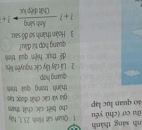 nh sáng thành 
lữu cơ (chủ yếu 1 Quan sát Hình 23.1, hãy 
ào quan lục lạp cho biết các chất tham 
gia và các chất được tạo 
thành trong quá trình 
quang hợp. 
2 Lá cây lấy các nguyên liệu 
để thực hiện quá trình 
quang hợp từ đâu? 
3 Hoàn thành sơ đồ sau: 
Ánh sáng ? + 
? + ? 
Chất diệp lục