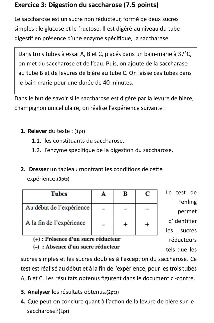 Digestion du saccharose (7.5 points) 
Le saccharose est un sucre non réducteur, formé de deux sucres 
simples : le glucose et le fructose. Il est digéré au niveau du tube 
digestif en présence d’une enzyme spécifique, la saccharase. 
Dans trois tubes à essai A, B et C, placés dans un bain-marie à 37°C, 
on met du saccharose et de l’eau. Puis, on ajoute de la saccharase 
au tube B et de levures de bière au tube C. On laisse ces tubes dans 
le bain-marie pour une durée de 40 minutes. 
Dans le but de savoir si le saccharose est digéré par la levure de bière, 
champignon unicellulaire, on réalise l'expérience suivante : 
1. Relever du texte : (1pt) 
1.1. les constituants du saccharose. 
1.2. l'enzyme spécifique de la digestion du saccharose. 
2. Dresser un tableau montrant les conditions de cette 
expérience. (3pts) 
e test de 
Fehling 
permet 
d’identifier 
es sucres 
(+) : Présence d'un sucre réducteur réducteurs 
(-) : Absence d'un sucre réducteur tels que les 
sucres simples et les sucres doubles à l’exception du saccharose. Ce 
test est réalisé au début et à la fin de l'expérience, pour les trois tubes 
A, B et C. Les résultats obtenus figurent dans le document ci-contre. 
3. Analyser les résultats obtenus.(2pts) 
4. Que peut-on conclure quant à l'action de la levure de bière sur le 
saccharose?(1pt)