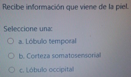 Recibe información que viene de la piel.
Seleccione una:
a. Lóbulo temporal
b. Corteza somatosensorial
c. Lóbulo occipital