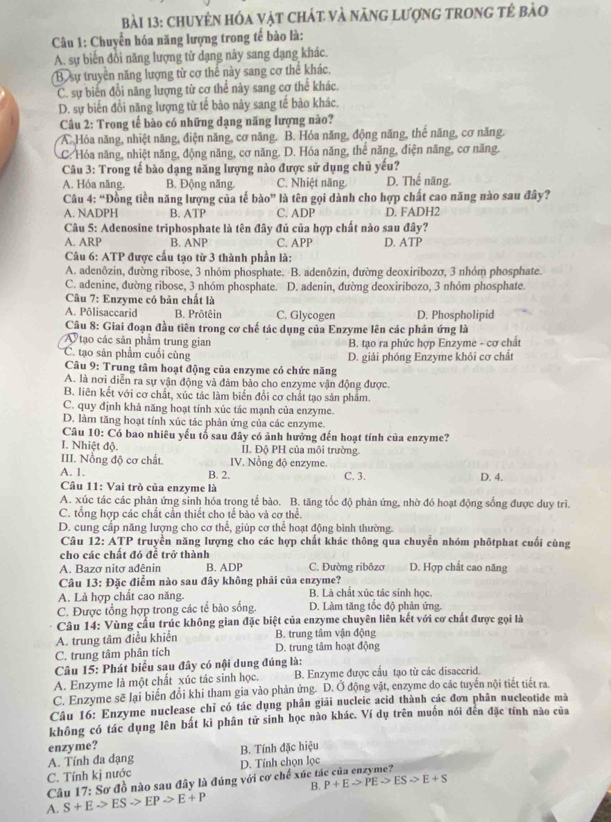 chUyÊN Hóa vật chát và năng lượnG tRonG tẻ bảo
Câu 1: Chuyển hóa năng lượng trong tế bào là:
A. sự biển đổi năng lượng từ dạng này sang dạng khác.
B sự truyền năng lượng từ cơ thể này sang cơ thể khác.
C. sự biến đổi năng lượng từ cơ thể nảy sang cơ thể khác.
D. sự biến đổi năng lượng từ tế bào này sang tế bào khác,
Cầu 2: Trong tế bào có những dạng năng lượng nào?
A. Hóa năng, nhiệt năng, điện năng, cơ năng. B. Hóa năng, động năng, thế năng, cơ năng.
C. Hóa năng, nhiệt năng, động năng, cơ năng. D. Hóa năng, thể năng, điện năng, cơ năng.
Câu 3: Trong tế bào dạng năng lượng nào được sử dụng chủ yếu?
A. Hóa năng. B. Động năng. C. Nhiệt năng. D. Thế năng.
Câu 4: “Đồng tiền năng lượng của tế bào” là tên gọi dành cho hợp chất cao năng nào sau đây?
A. NADPH B. ATP C. ADP D. FADH2
Câu 5: Adenosine triphosphate là tên đây đủ của hợp chất nào sau đây?
A. ARP B. ANP C. APP D. ATP
Câu 6: ATP được cấu tạo từ 3 thành phần là:
A. adenôzin, đường ribose, 3 nhóm phosphate. B. adenôzin, đường deoxiribozσ, 3 nhóm phosphate.
C. adenine, dường ribose, 3 nhóm phosphate. D. adenin, đường deoxiribozo, 3 nhóm phosphate.
Câu 7: Enzyme có bản chất là
A. Pôlisaccarid B. Prôtêin C. Glycogen D. Phospholipid
Câu 8: Giai đoạn đầu tiên trong cơ chế tác dụng của Enzyme lên các phản ứng là
A tạo các sản phẩm trung gian B. tạo ra phức hợp Enzyme - cơ chất
C. tạo sản phẩm cuối cùng D. giải phóng Enzyme khỏi cơ chất
Câu 9: Trung tâm hoạt động của enzyme có chức năng
A. là nơi diễn ra sự vận động và đảm bảo cho enzyme vận động được.
B. liên kết với cơ chất, xúc tác làm biến đồi cơ chất tạo sản phẩm.
C. quy định khả năng hoạt tính xúc tác mạnh của enzyme.
D. làm tăng hoạt tính xúc tác phản ứng của các enzyme.
Câu 10: Có bao nhiêu yếu tố sau đây có ảnh hưỡng đến hoạt tính của enzyme?
I. Nhiệt độ. II. Độ PH của môi trường.
III. Nồng độ cơ chất. IV. Nồng độ enzyme.
A. 1. B. 2. C. 3. D. 4.
Câu 11: Vai trò của enzyme là
A. xúc tác các phản ứng sinh hóa trong tế bào. B. tăng tốc độ phản ứng, nhờ đó hoạt động sống được duy trì.
C. tổng hợp các chất cần thiết cho tế bào và cơ thể.
D. cung cấp năng lượng cho cơ thể, giúp cơ thể hoạt động bình thường.
Câu 12: ATP truyền năng lượng cho các hợp chất khác thông qua chuyển nhóm phôtphat cuối cùng
cho các chất đó để trở thành
A. Bazơ nitơ ađênin B. ADP C. Đường ribôzơ D. Hợp chất cao năng
Câu 13: Đặc điểm nào sau đây không phải của enzyme?
A. Là hợp chất cao năng. B. Là chất xúc tác sinh học.
C. Được tổng hợp trong các tế bào sống. D. Làm tăng tốc độ phản ứng.
Câu 14: Vùng cấu trúc không gian đặc biệt của enzyme chuyên liên kết với cơ chất được gọi là
A. trung tâm điều khiển B. trung tâm vận động
C. trung tâm phân tích D. trung tâm hoạt động
Câu 15: Phát biểu sau đây có nội dung đúng là:
A. Enzyme là một chất xúc tác sinh học. B. Enzyme được cấu tạo từ các disaccrid.
C. Enzyme sẽ lại biến đổi khi tham gia vào phản ứng. D. Ở động vật, enzyme do các tuyến nội tiết tiết ra.
Câu 16: Enzyme nuclease chỉ có tác dụng phân giải nucleic acid thành các đơn phân nucleotide mà
không có tác dụng lên bất kì phân tử sinh học nào khác. Ví dụ trên muốn nói đến đặc tính nào của
enzyme?
A. Tính đa dạng B. Tính đặc hiệu
C. Tính kị nước D. Tính chọn lọc
Câu 17: Sơ đồ nào sau đây là đúng với cơ chế xúc ta P+Eto PEto ESto E+S
B.
A. S+Eto ESto EPto E+P