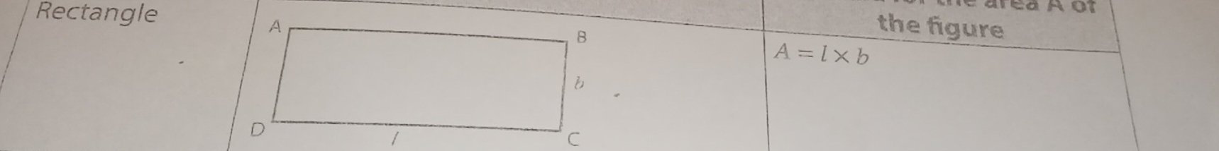 Rectangle 
le area A ot 
the figure
A=l* b