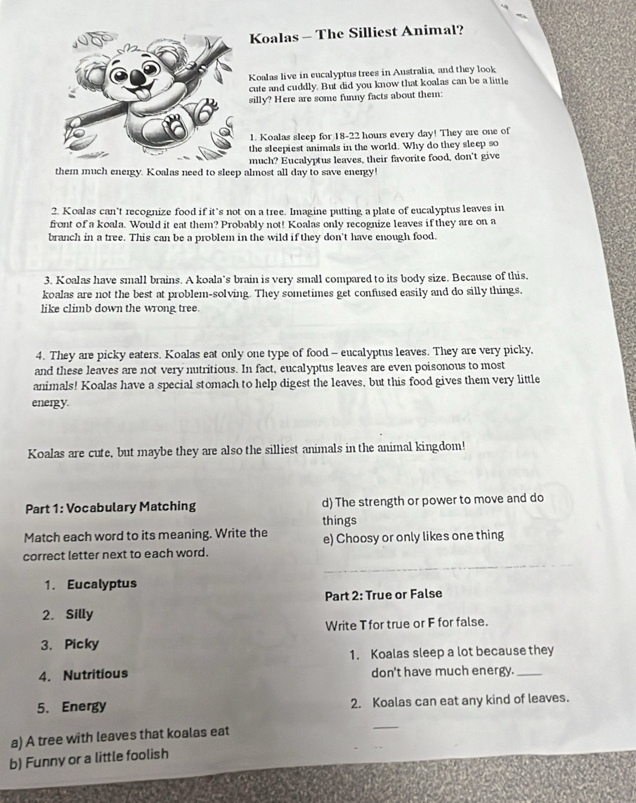 Koalas - The Silliest Animal? 
Koalas live in eucalyptus trees in Australia, and they look 
cute and cuddly. But did you know that koalas can be a little 
silly? Here are some funny facts about them: 
1. Koalas sleep for 18-22 hours every day! They are one of 
the sleepiest animals in the world. Why do they sleep so 
much? Eucalyptus leaves, their favorite food, don't give 
them much energy. Koalas need to sleep almost all day to save energy! 
2. Koalas can’t recognize food if it’s not on a tree. Imagine putting a plate of eucalyptus leaves in 
front of a koala. Would it eat them? Probably not! Koalas only recognize leaves if they are on a 
branch in a tree. This can be a problem in the wild if they don't have enough food. 
3. Koalas have small brains. A koala's brain is very small compared to its body size. Because of this. 
koalas are not the best at problem-solving. They sometimes get confused easily and do silly things. 
like climb down the wrong tree. 
4. They are picky eaters. Koalas eat only one type of food - eucalyptus leaves. They are very picky, 
and these leaves are not very nutritious. In fact, eucalyptus leaves are even poisonous to most 
animals! Koalas have a special stomach to help digest the leaves, but this food gives them very little 
energy. 
Koalas are cute, but maybe they are also the silliest animals in the animal kingdom! 
Part 1: Vocabulary Matching d) The strength or power to move and do 
things 
Match each word to its meaning. Write the e) Choosy or only likes one thing 
_ 
correct letter next to each word. 
1. Eucalyptus 
Part 2: True or False 
2. Silly 
Write T for true or F for false. 
3. Picky 
1. Koalas sleep a lot because they 
4. Nutritious don't have much energy._ 
5. Energy 2. Koalas can eat any kind of leaves. 
a) A tree with leaves that koalas eat 
_ 
b) Funny or a little foolish